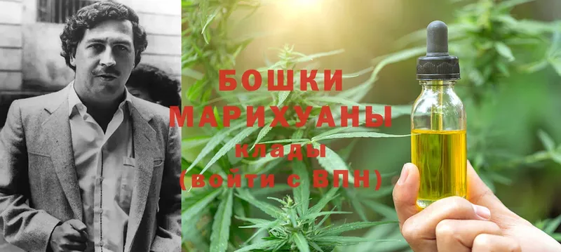 Бошки Шишки OG Kush  купить наркоту  Западная Двина 